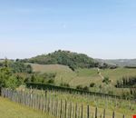 Castello di Montecalvo panorama ridotta.jpg Castello di Montecalvo panorama ridotta.jpg